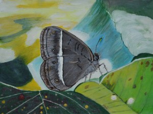 Brown Butterfly                                     